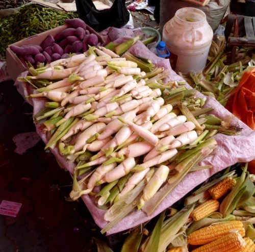 bamboo-shoots