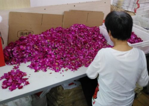 rose-petals