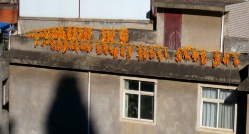 corn-drying